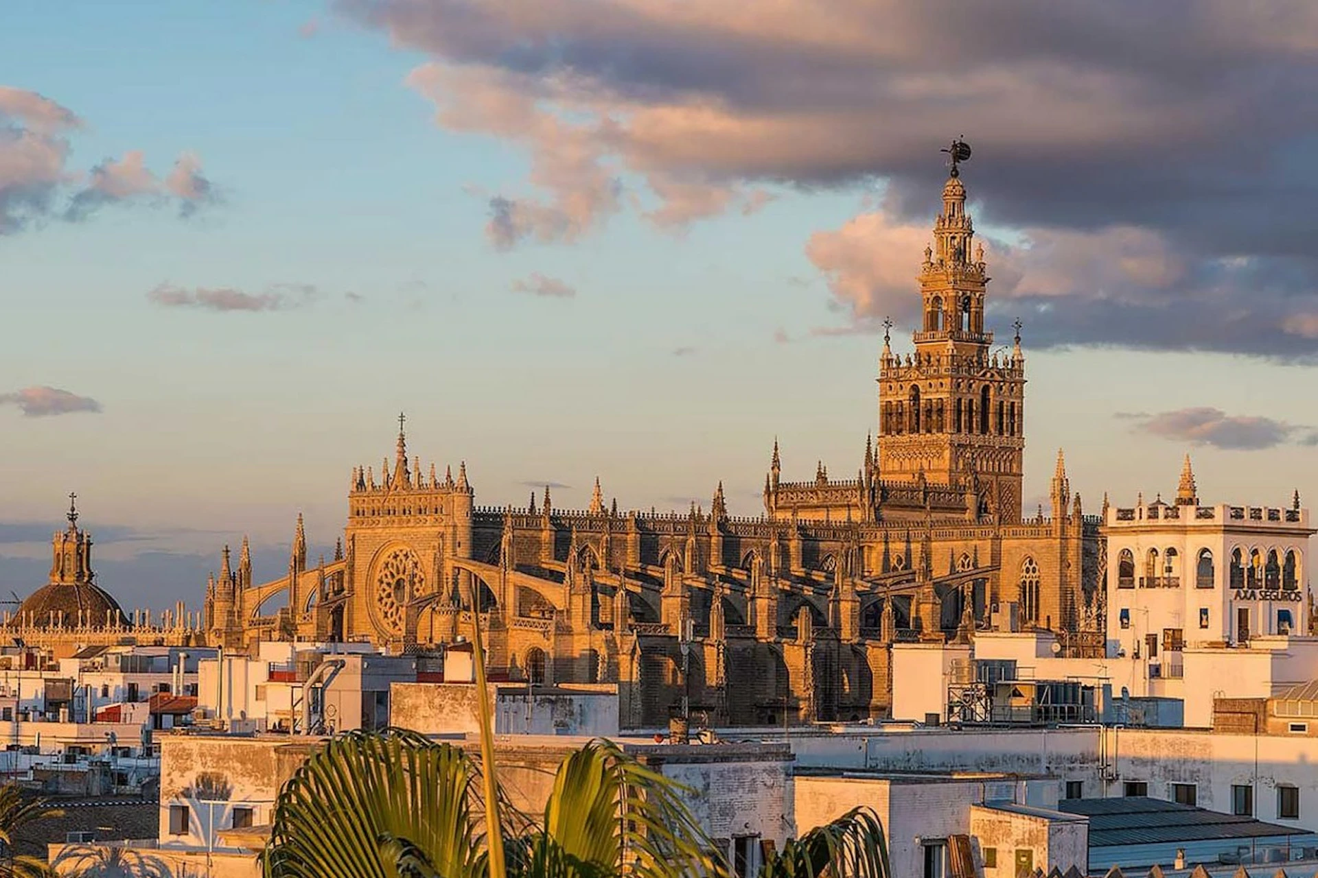 Impressive view of the Cathedral and Giralda, whose history you will learn in depth on the supplier's tour.