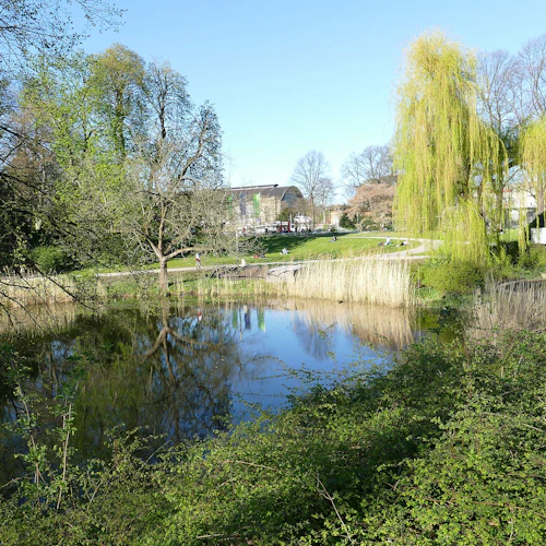 En lugn park med en damm, reflekterande träd och grönska. Få människor promenerar eller sitter på gräset. Klarblå himmel.