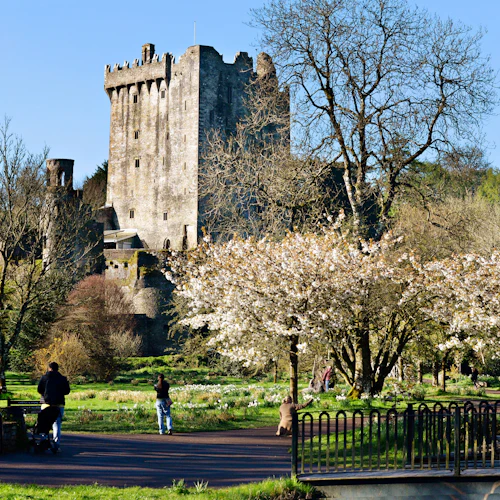 Blarney, Rock of Cashel e Castelos de Cahir: Excursão de um dia saindo de Dublin - Photo 4