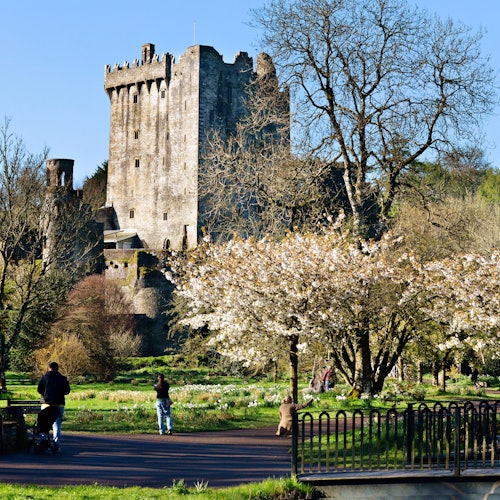 Blarney, Roca de Cashel y Castillos de Cahir: Excursión de un día desde Dublín