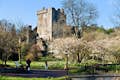 Castelo de Blarney
