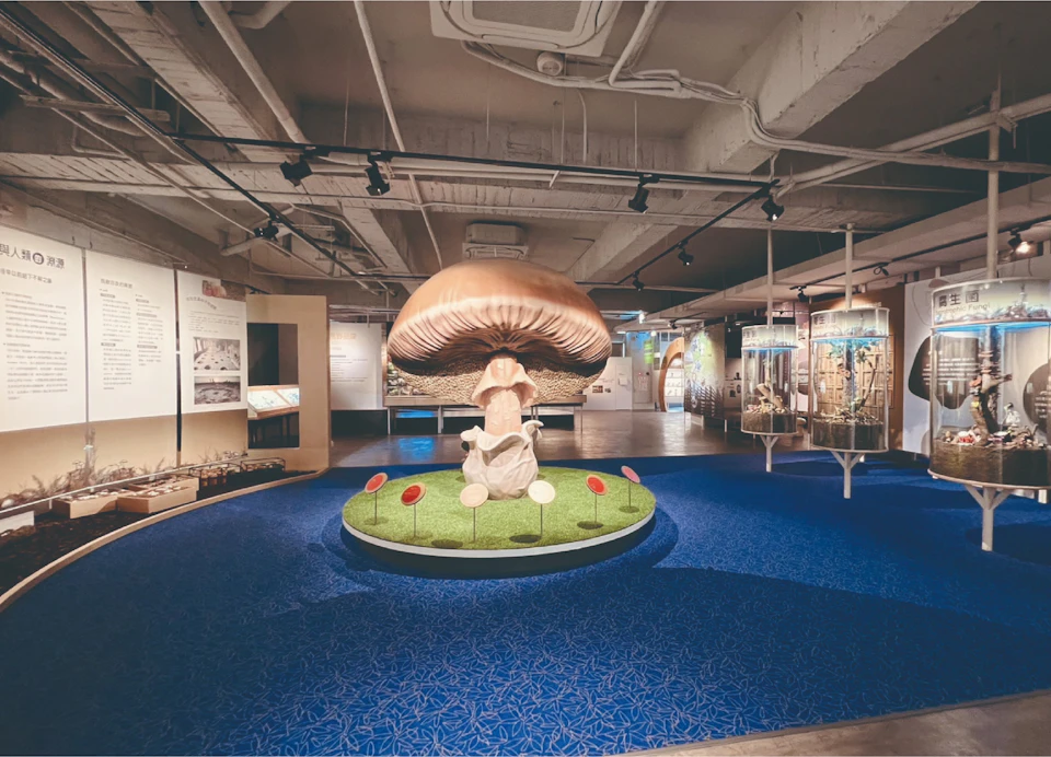 Exhibit featuring a large mushroom sculpture surrounded by a circular display area with informational panels and lights.