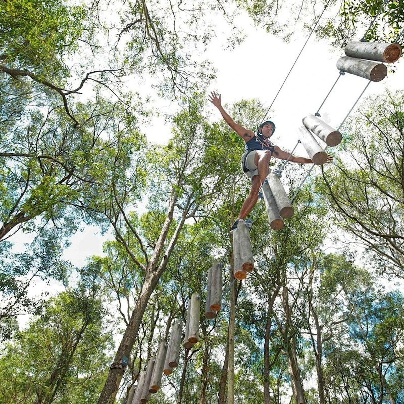 Western Sydney: Treetops Adventure in Abbotsbury β Tiqets