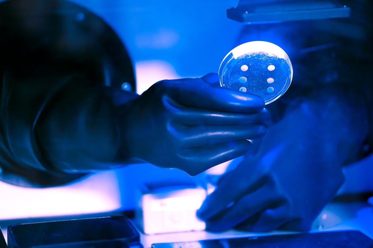 Every detail could be significant for the solution of the riddles.