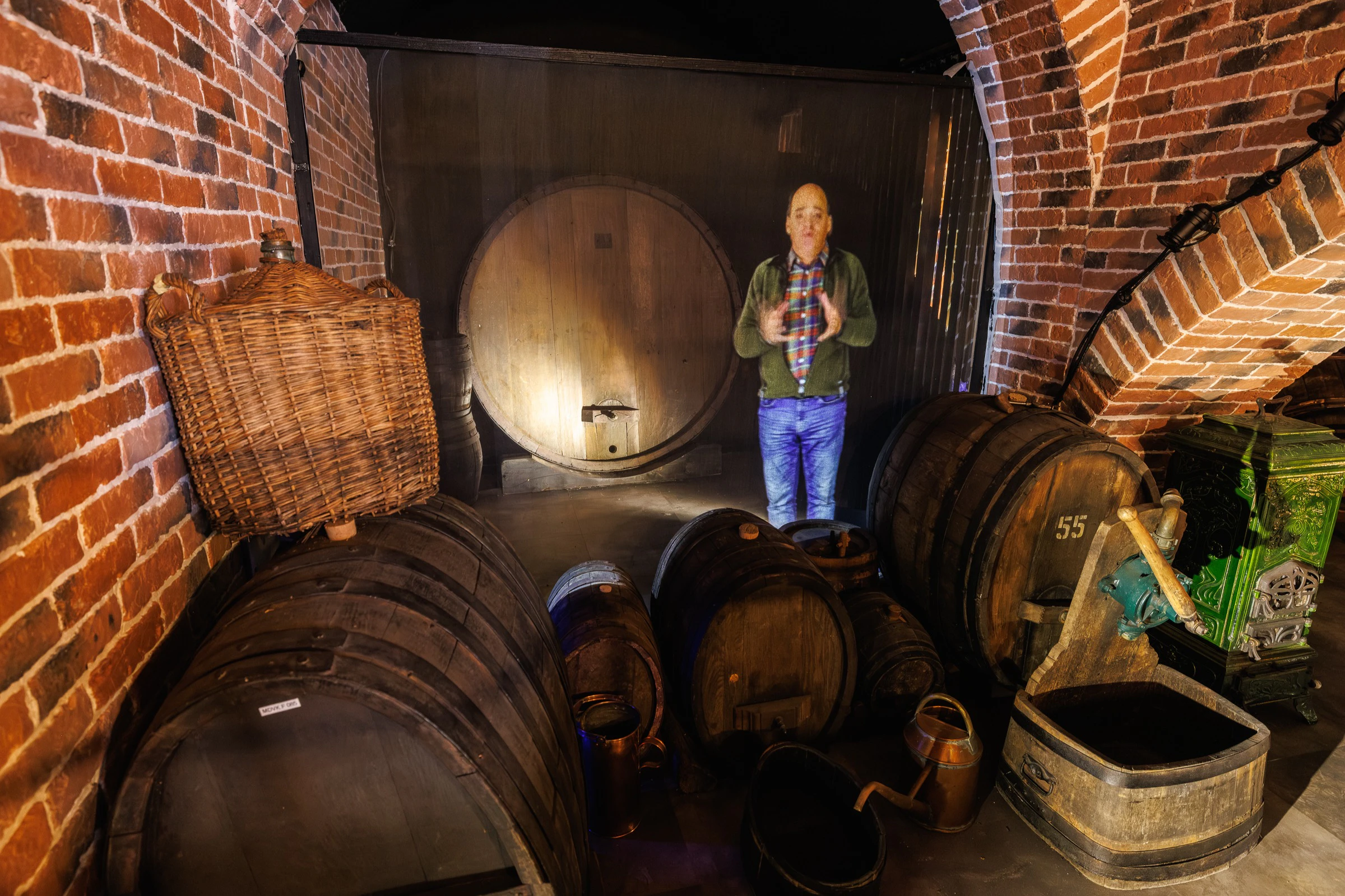 Museu dos Vinhos da Alsácia: Visita com audioguia + degustação