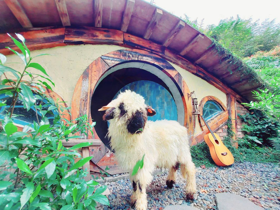 Miaoli: Hobbit Valley Admission Ticket