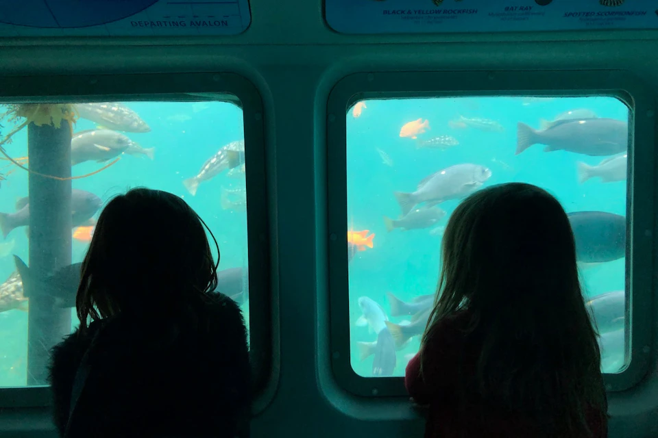 Catalina Island with Undersea Sub Adventure