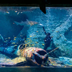 The National Aquarium Abu Dhabi & Adrenark Adventure Pass 5