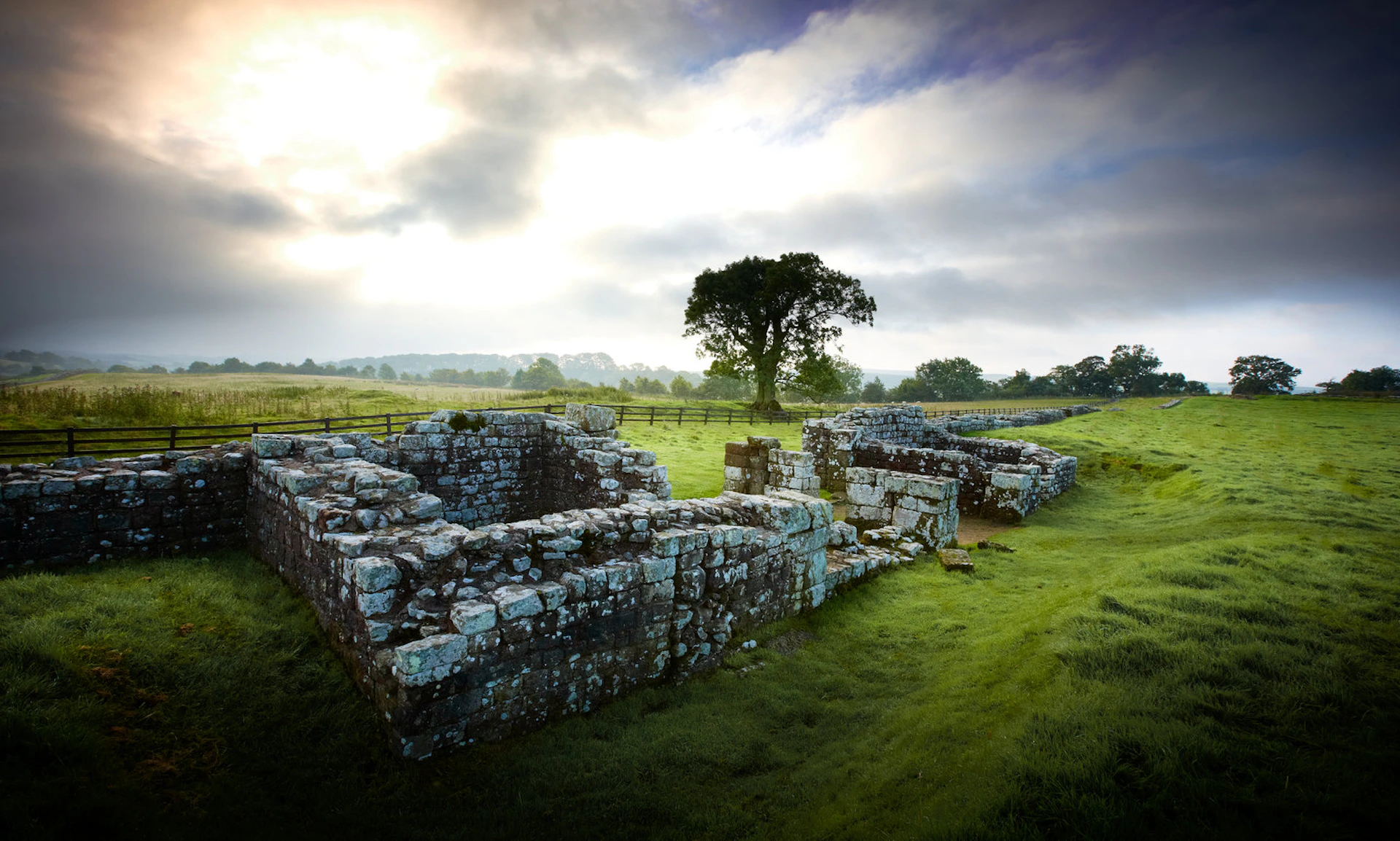 Ancient stone ruins in a grassy field with a lone tree in the background under a partly cloudy sky.