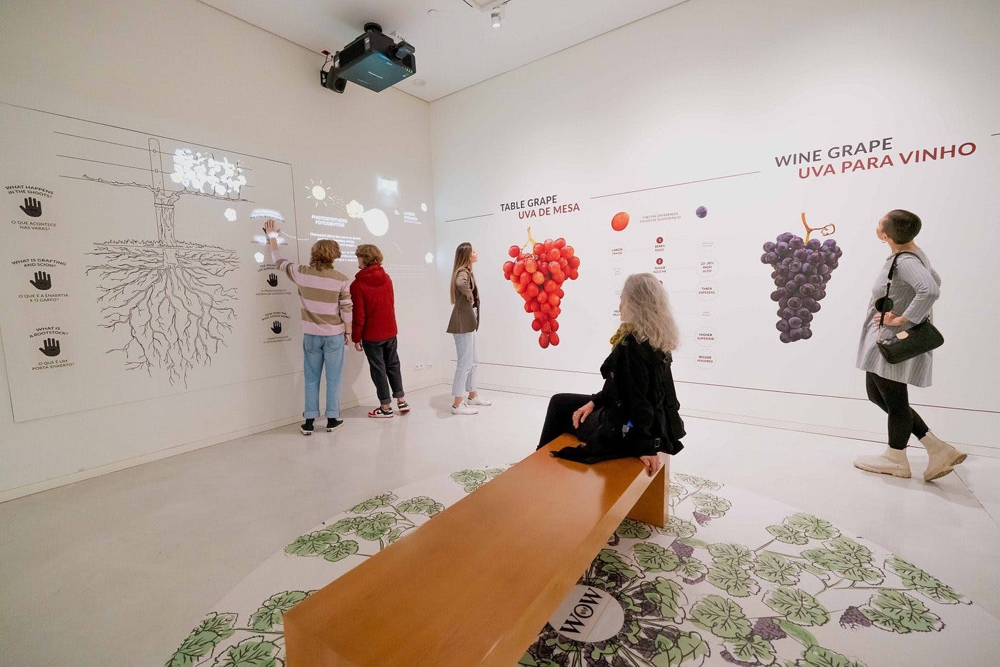 L'expérience du vin