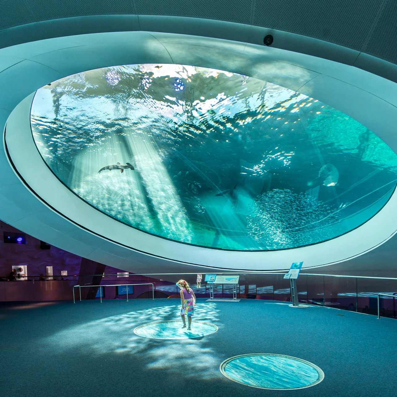 Phillip & Patricia Frost Museum of Science, Aquarium & Planetarium: Entry Ticket in Miami β Tiqets