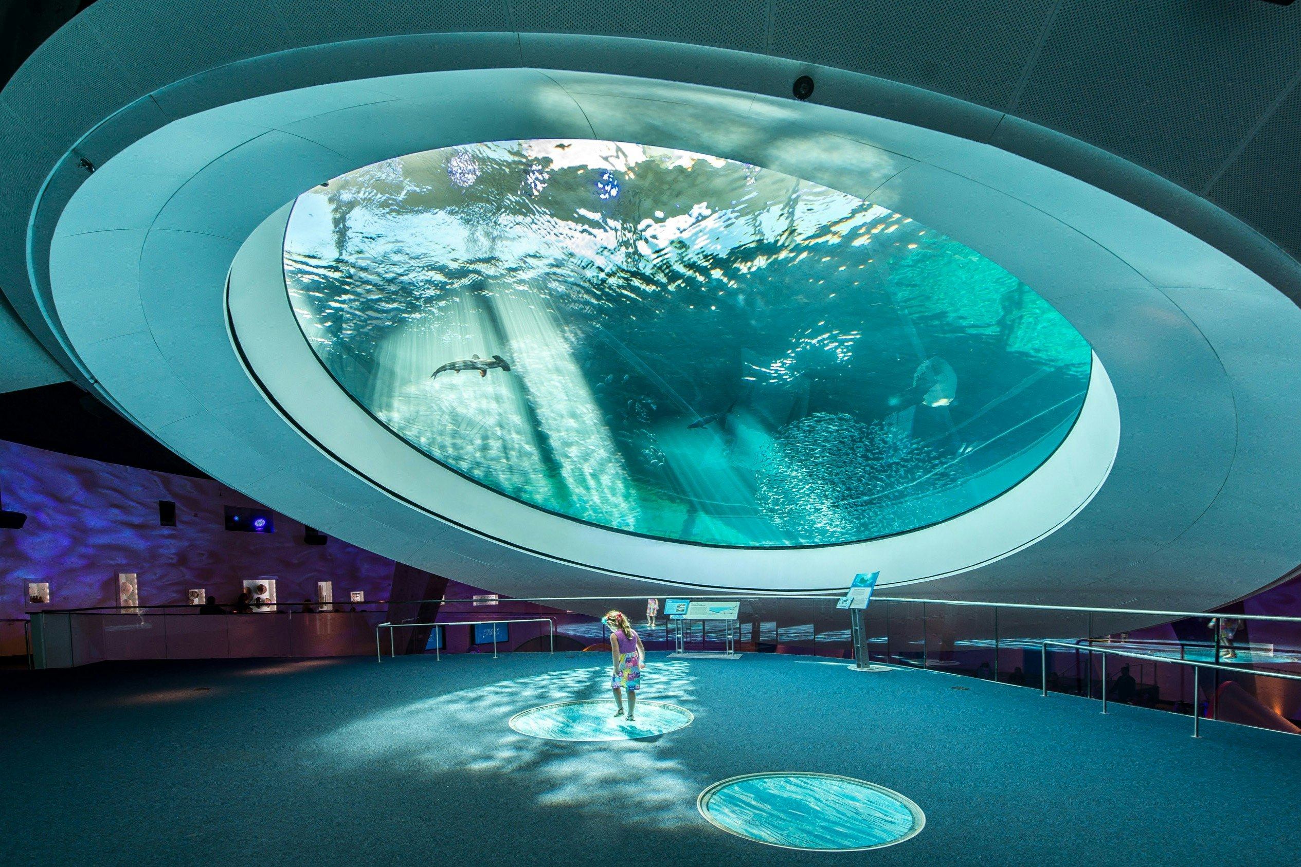 Phillip & Patricia Frost Museum of Science, Aquarium & Planetarium: Entry Ticket