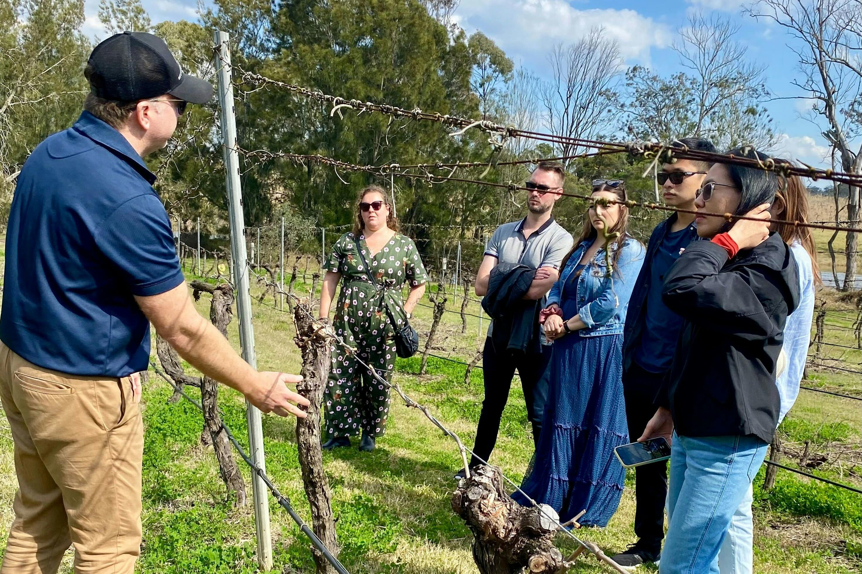 Declan is taking guests for a tour of the vineyard.