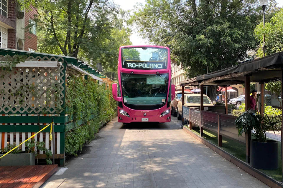 A pink double-decker bus with "RO-POLANC" displayed on the front, positioned on a narrow, tree-lined street.