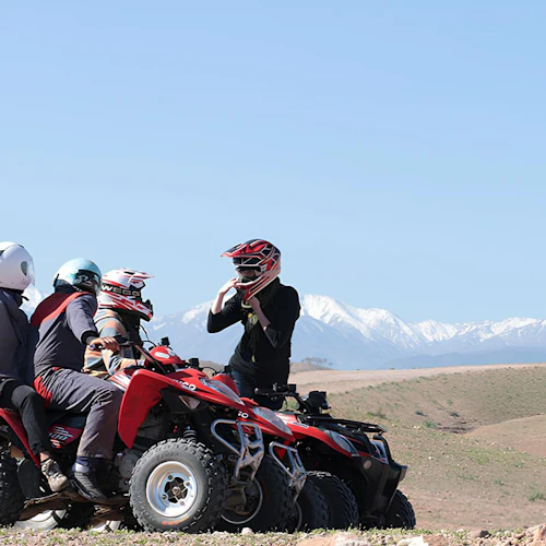 Palmeraie Desert: Half-Day Guided Quad Adventure + Transfers from Marrakesh