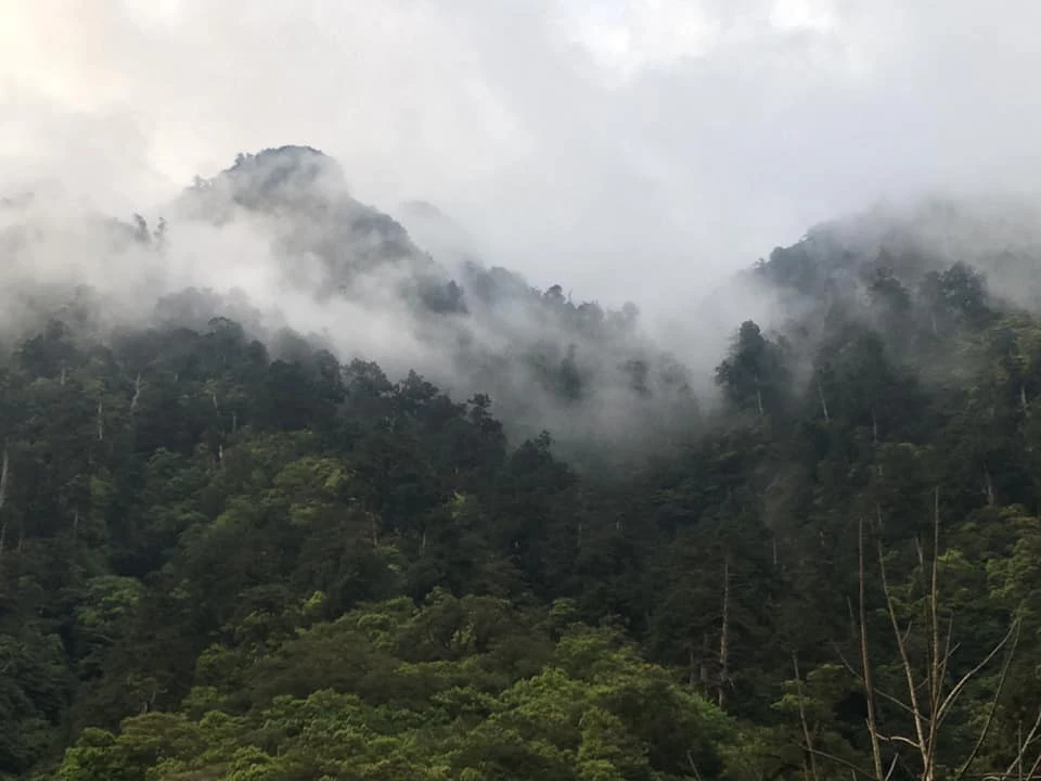 Mingchi Forest Recreation Area: Entry Ticket