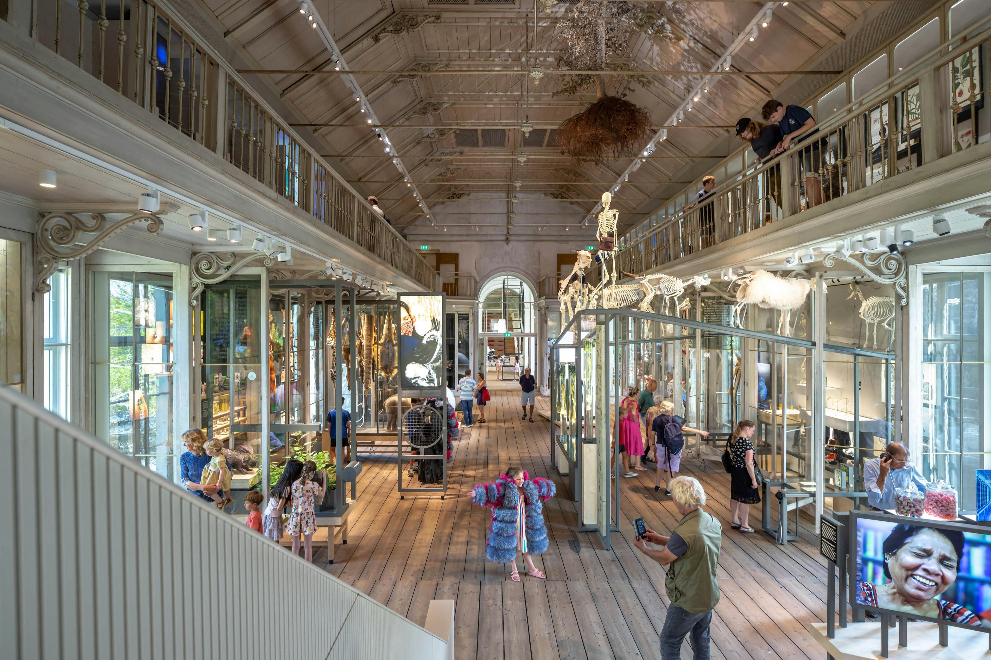 Un intérieur de musée avec des expositions, des visiteurs qui explorent les expositions, et une mezzanine avec d'autres visiteurs qui observent.