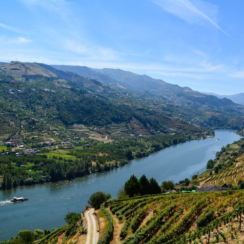 Braga, Aveiro y Valle del Duero: Excursión de un día desde Oporto + Cata de Vinos