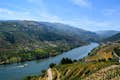 Douro-dalen
