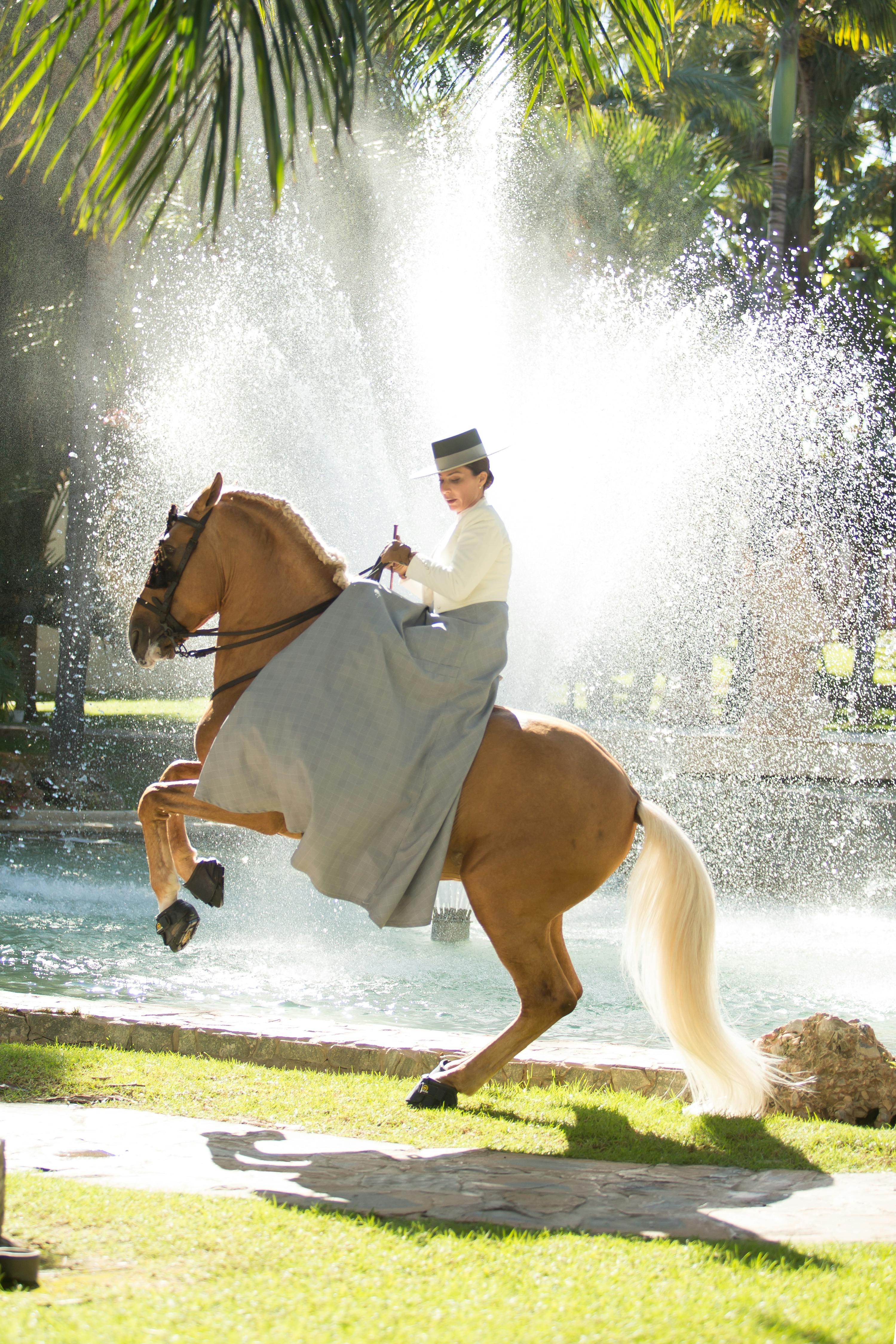A person in traditional attire rides a rearing horse in front of a large fountain, with palm trees visible in the background.