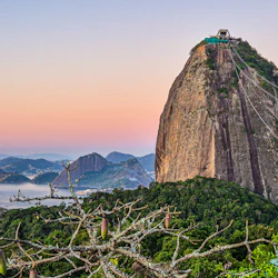 Sugarloaf & Urca Mountain: Skip The Line Cable Car Ticket 4