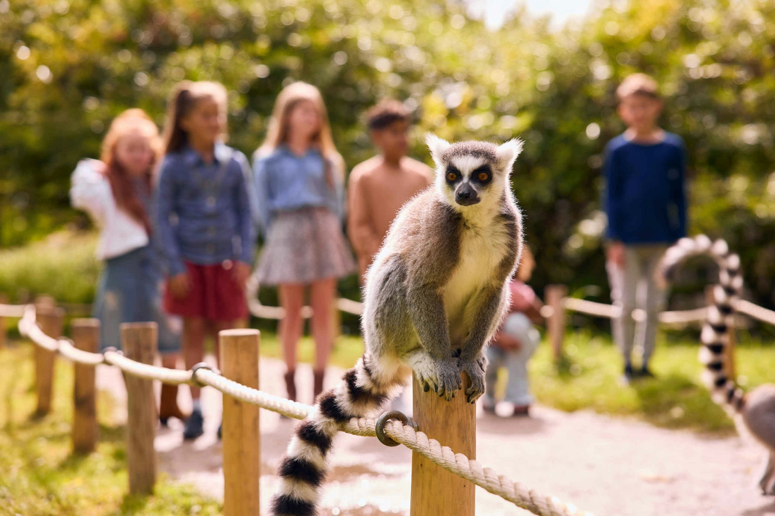 AquaZoo Leeuwarden: Entry Ticket