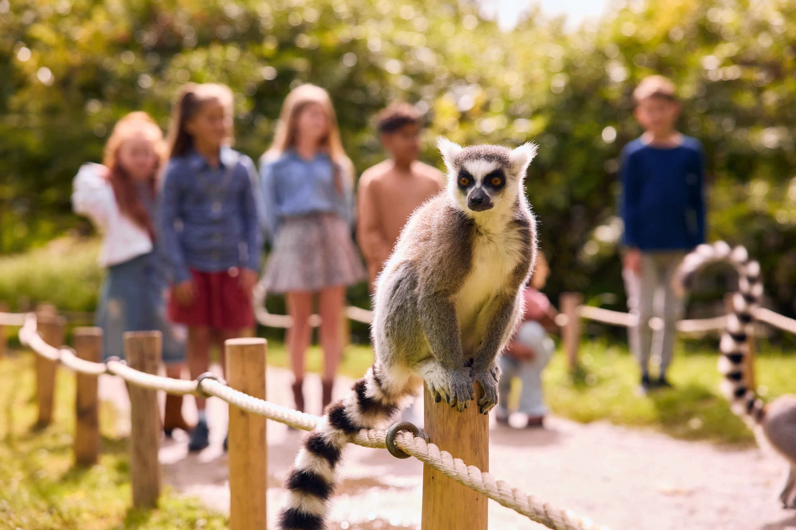 AquaZoo Leeuwarden: bilhete de entrada