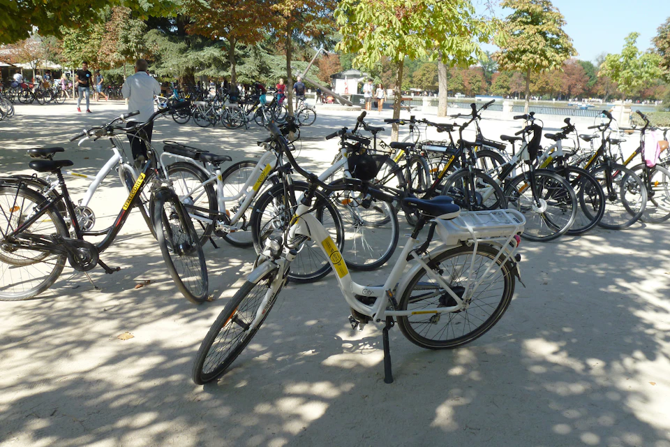 Several bicycles are parked under trees in an outdoor area; a few people are visible in the background.
