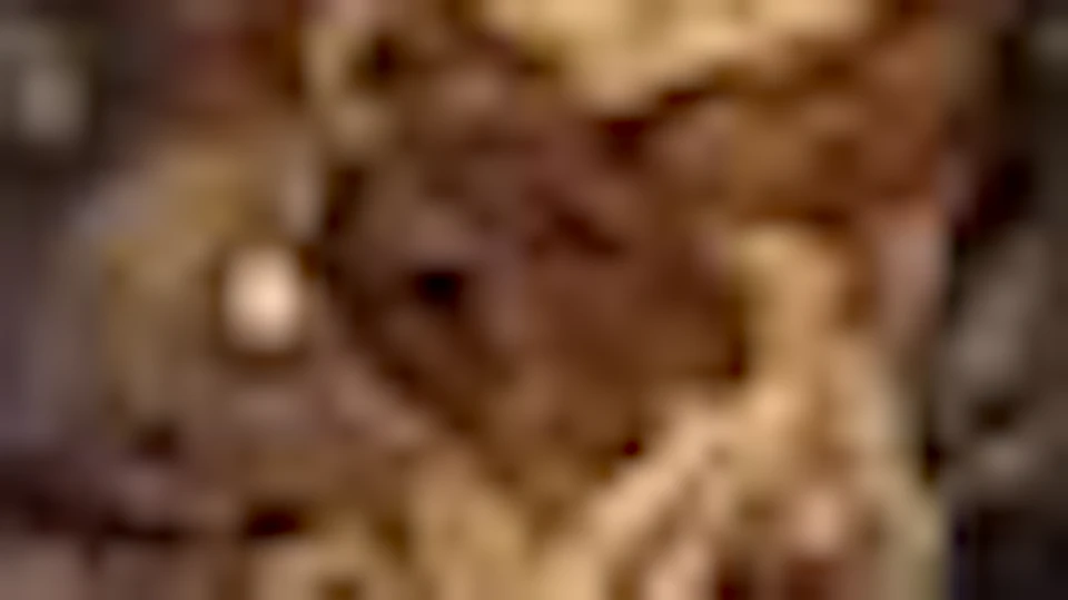 Crypt of the Pelvises