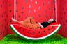 Zimmer Wassermelone