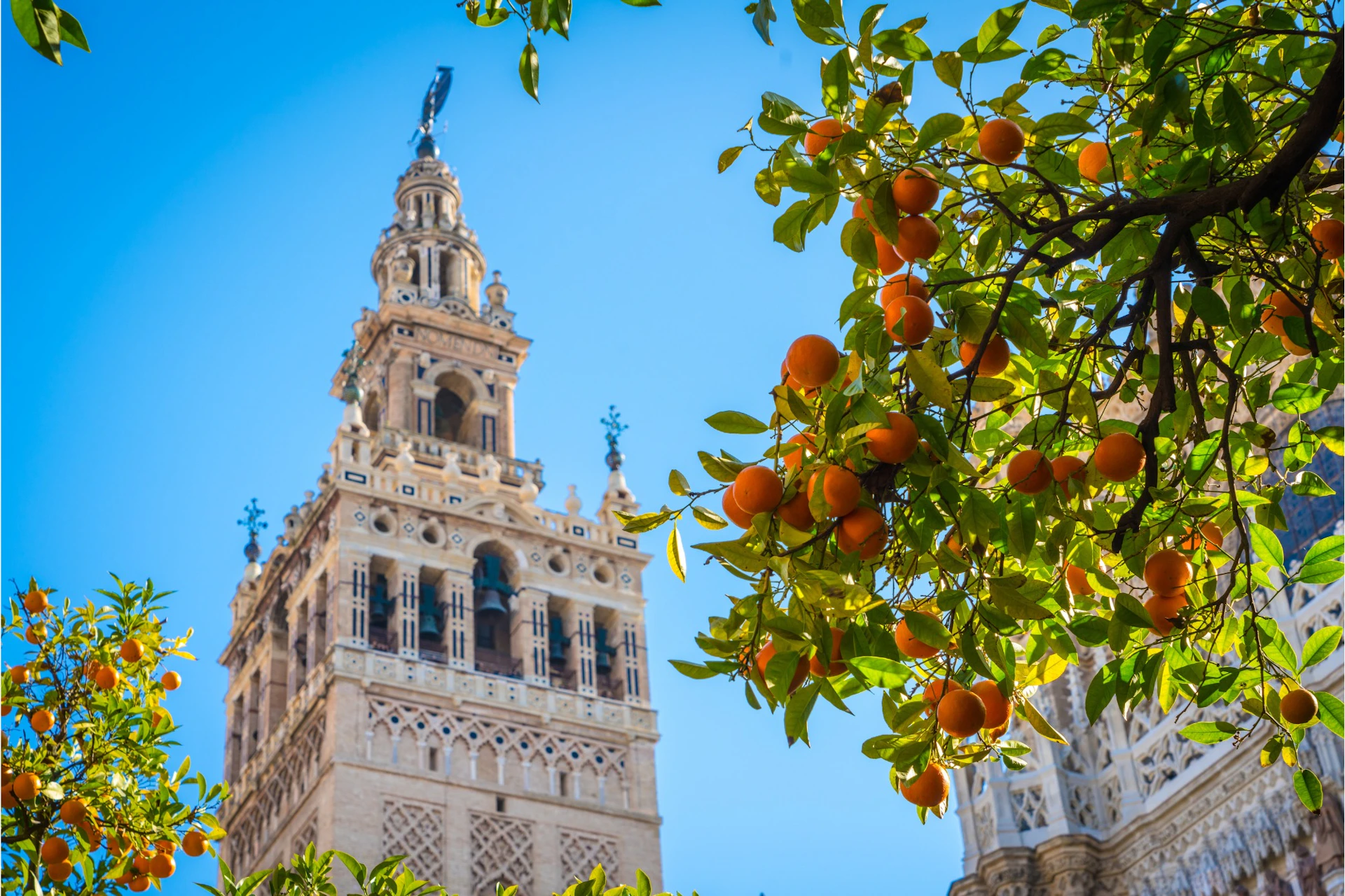 A historic tower against a clear blue sky, with an orange tree bearing ripe fruit in the foreground.