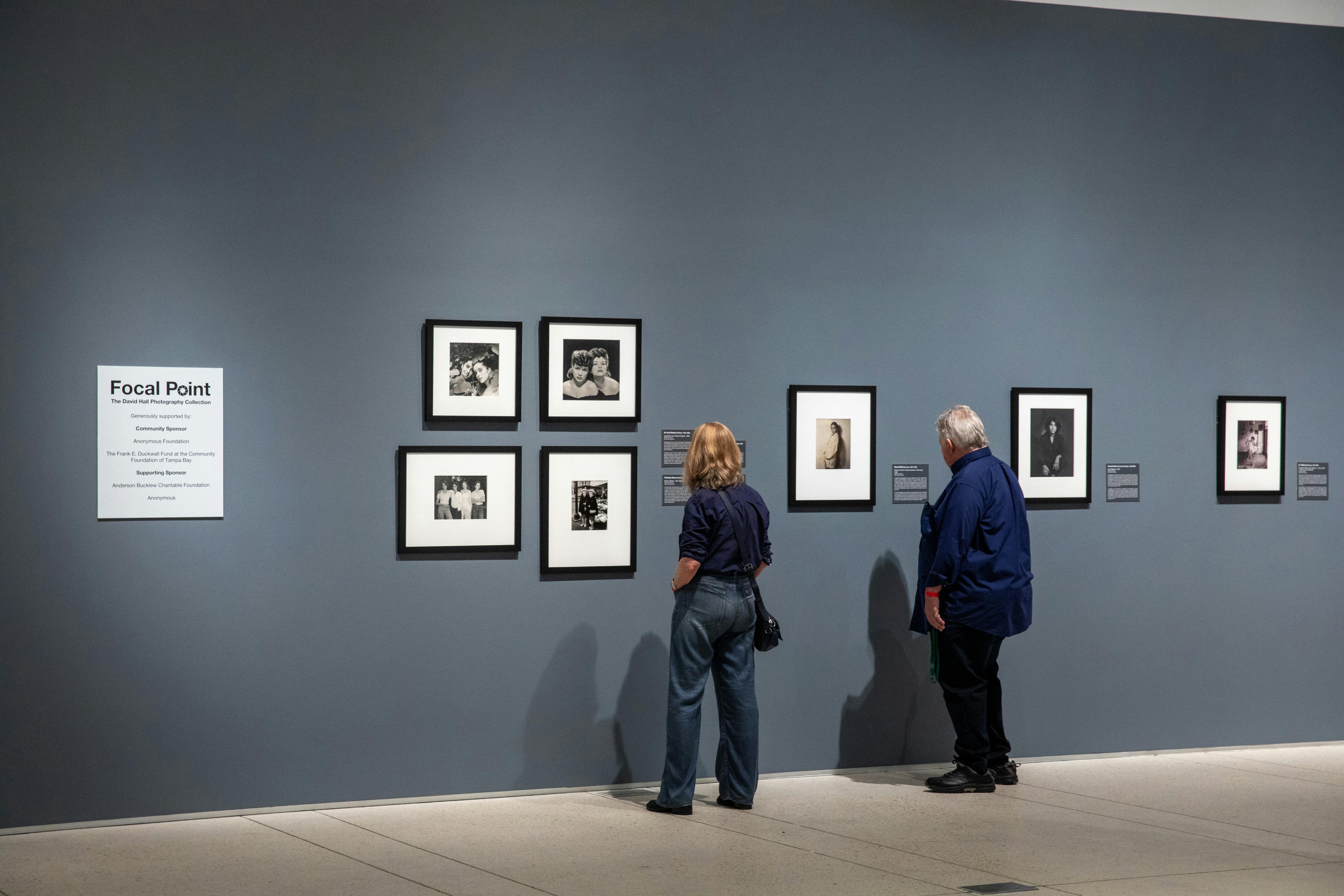 Museo d'Arte di Tampa: Biglietto d'ingresso — 6