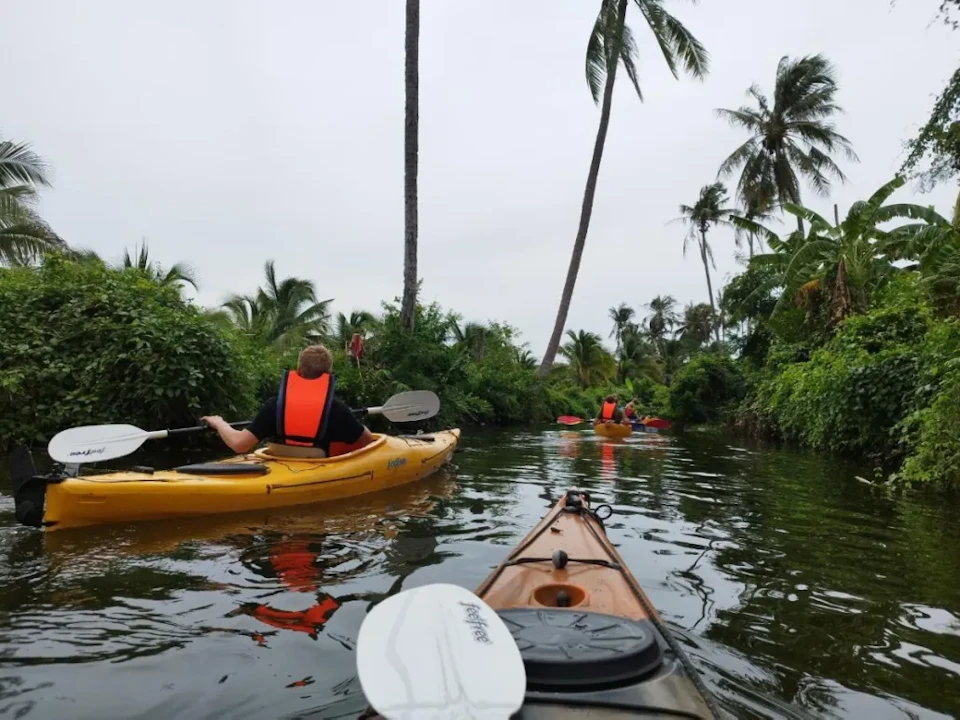 Explore the canals by kayak