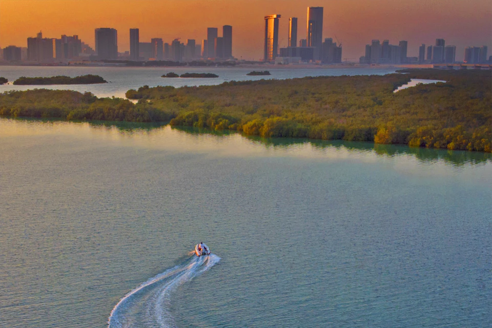 Ride the sunset waves of serenity.
