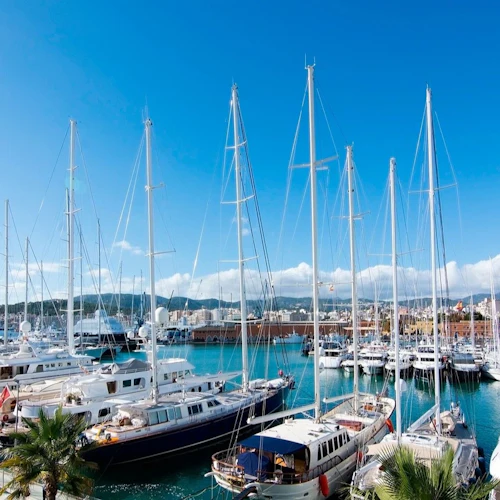 Palma de Mallorca: Boat Tour by City Sightseeing - Photo 5