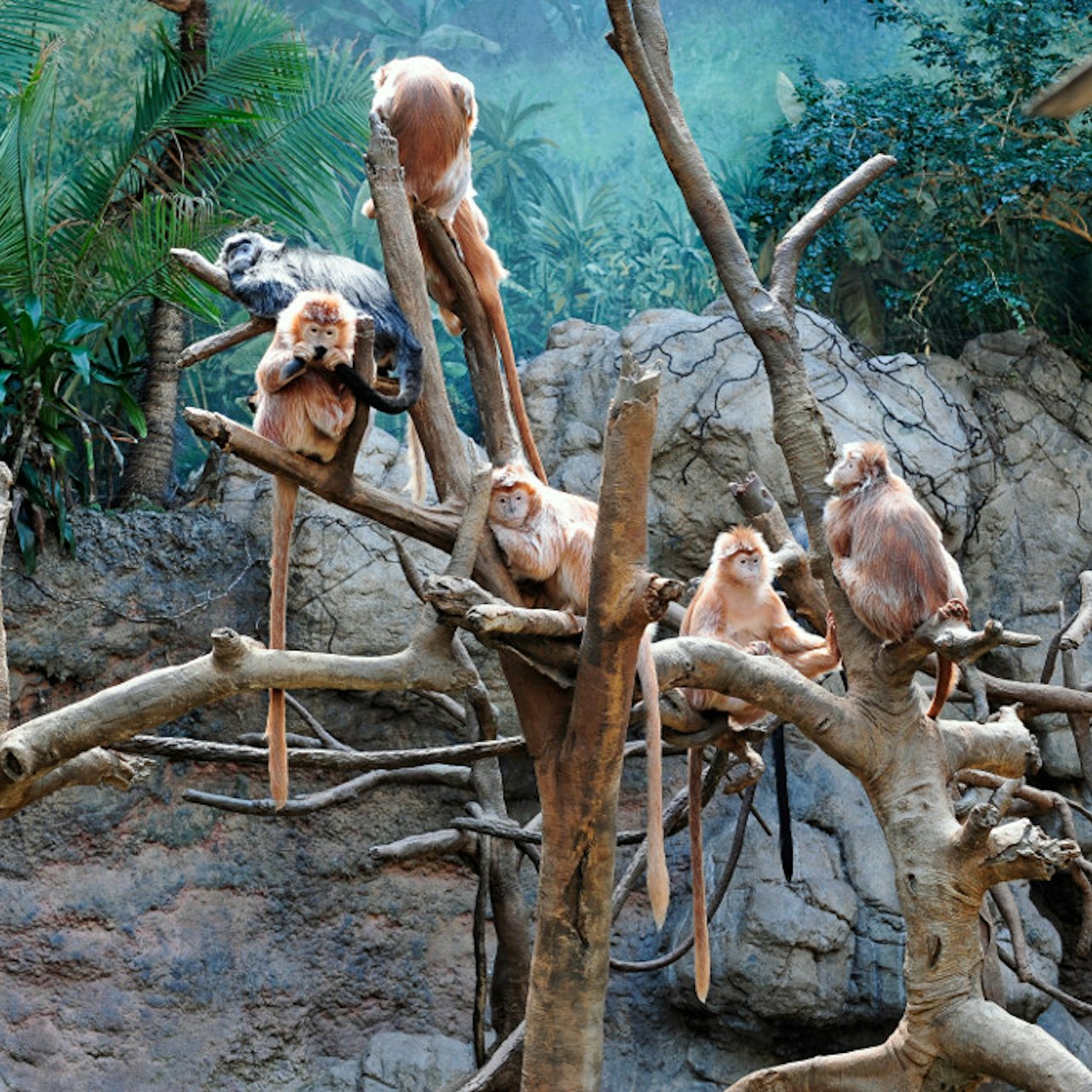 Zoo del Bronx: Biglietto d'ingresso - Alloggi in Nuova York