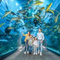 Dubai Aquarium und Unterwasserzoo