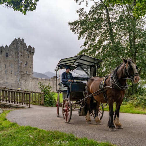 Lo más destacado de la ciudad de Killarney y el paseo en coche tradicional a caballo
