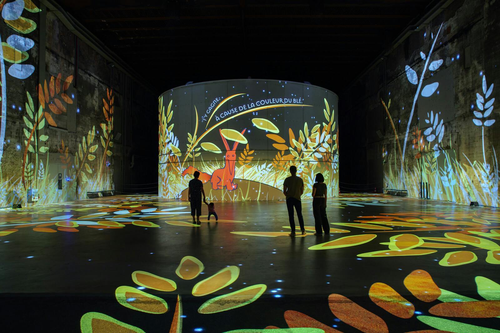 Bassins des Lumières: The Little Prince Exhibition 5