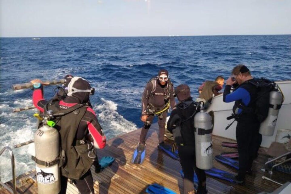 다이빙-인-사타야-돌고래 하우스