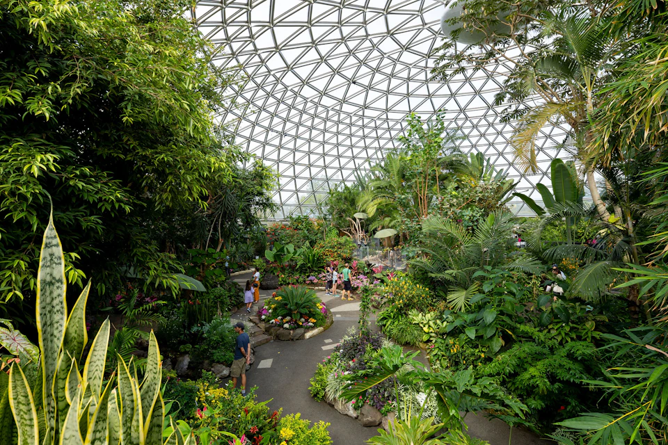 Bloedel Conservatory