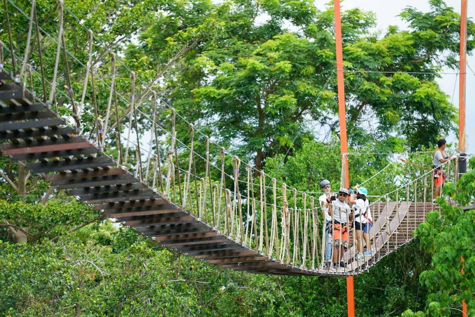 Menschen mit Sicherheitsausrüstung stehen auf einer Seilbrücke in einem üppigen grünen Wald, an deren Ende sich eine Person einhakt.