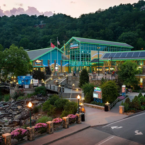 Ripley's Aquarium of the Smokies: Entry Ticket