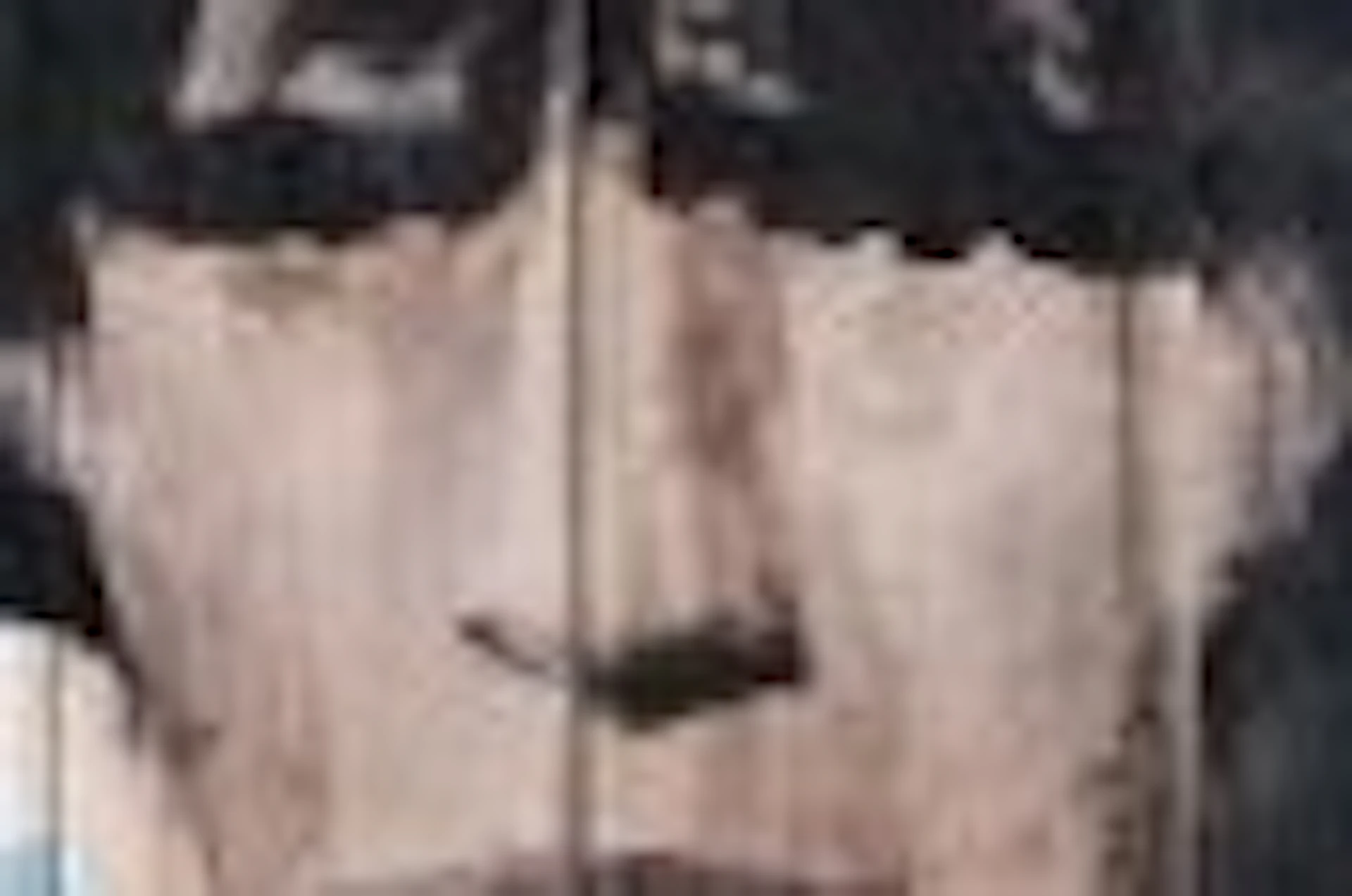 Maradona