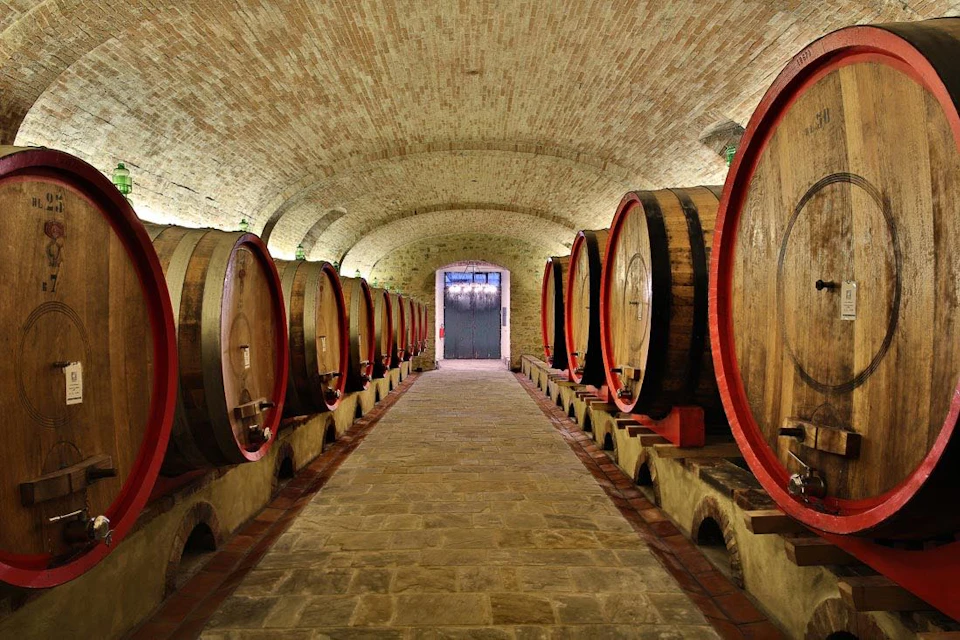 A brick cellar with large, wooden wine barrels lined along both sides, leading to a closed metal door at the far end.