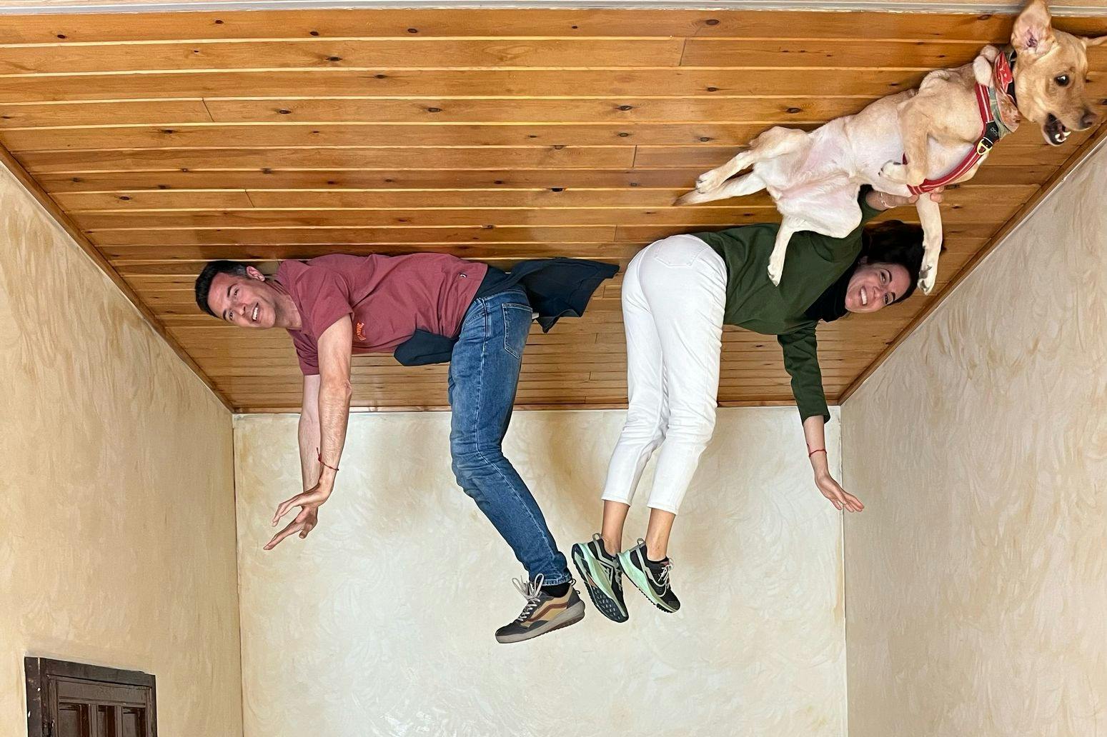 Dues persones i un gos apareixen cap per avall en una habitació amb sostre de fusta que s'assembla a un terra.