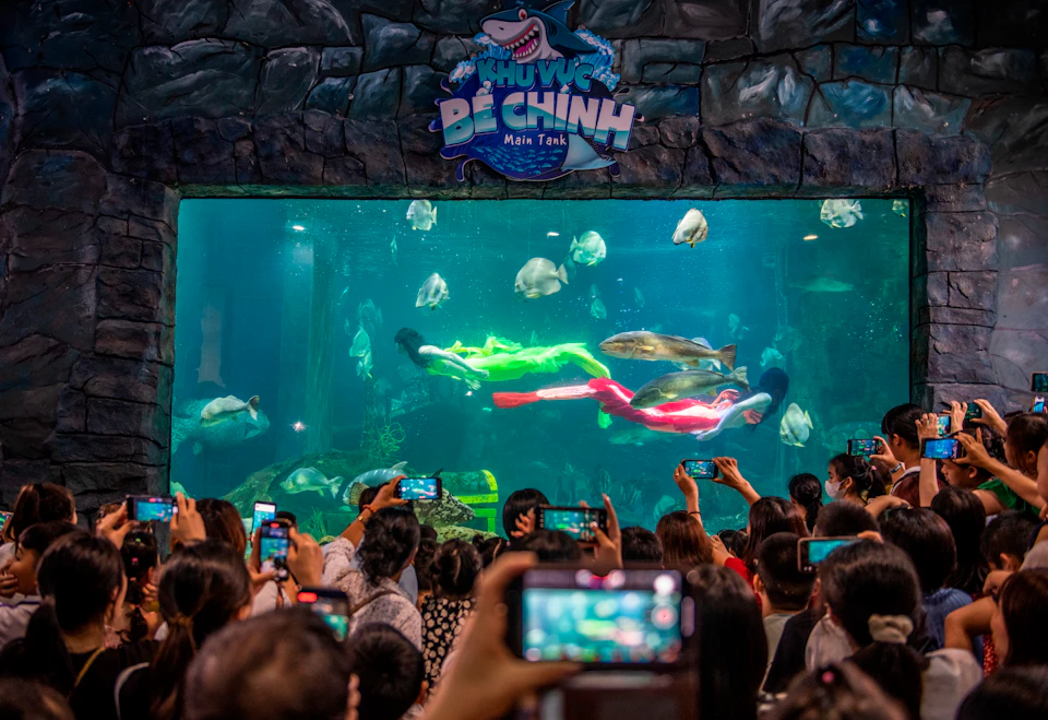People observing two divers performing underwater in a large aquarium tank with fish, while the audience takes photos.
