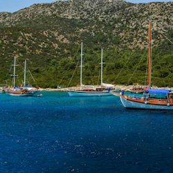 Bodrum: Orak Island Boat Trip in destination