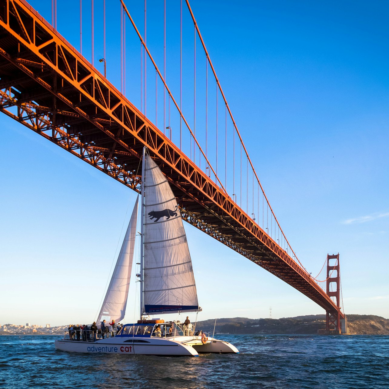 Crucero en catamarán por la bahía de San Francisco - Alojamientos en San Francisco