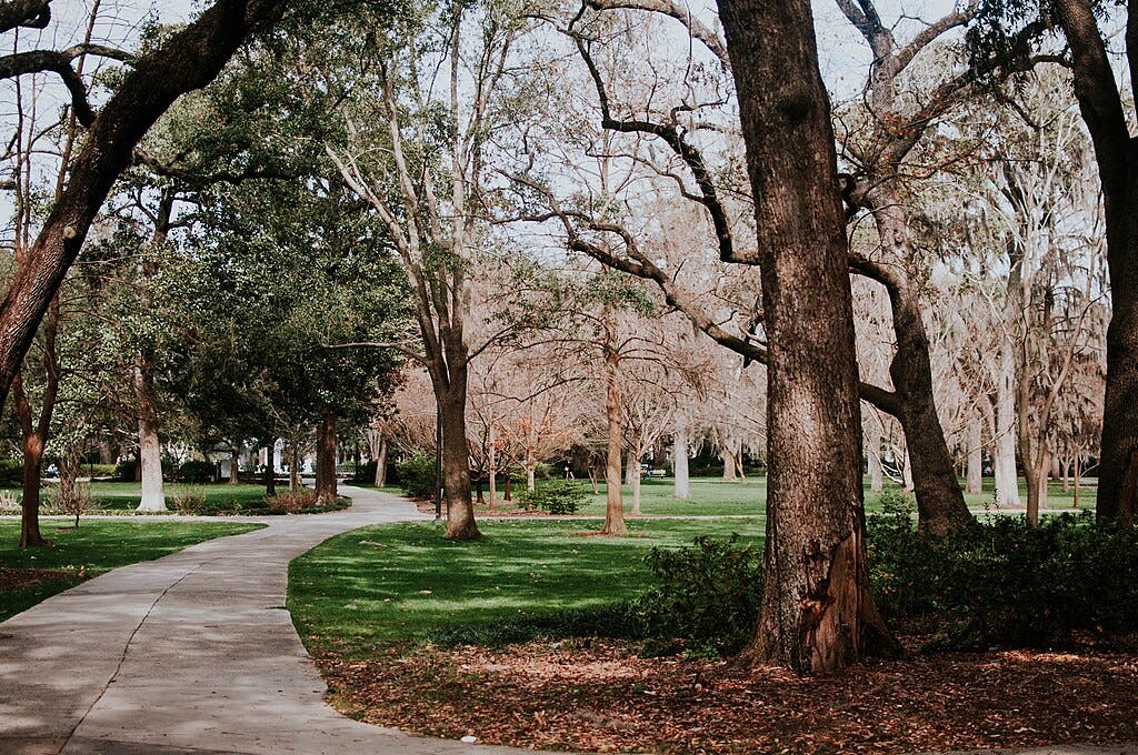 Un chemin sinueux en béton à travers un parc avec de grands arbres et de l'herbe verte par temps clair.